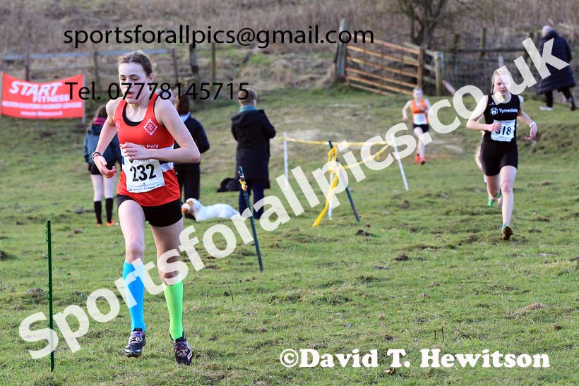 Girls under-15s 2023 NEHL, Thornley Farm, Peterlee, County Durham. Photo: David T. Hewitson/Sports for All Pics